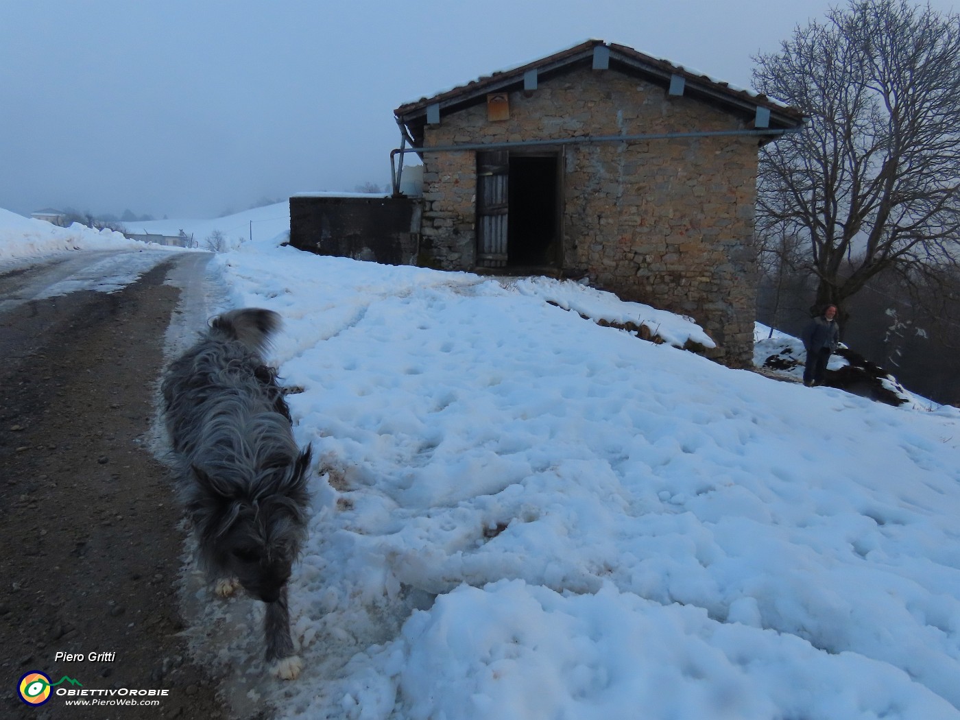 59 Un bravo cane pastore ci segue.JPG